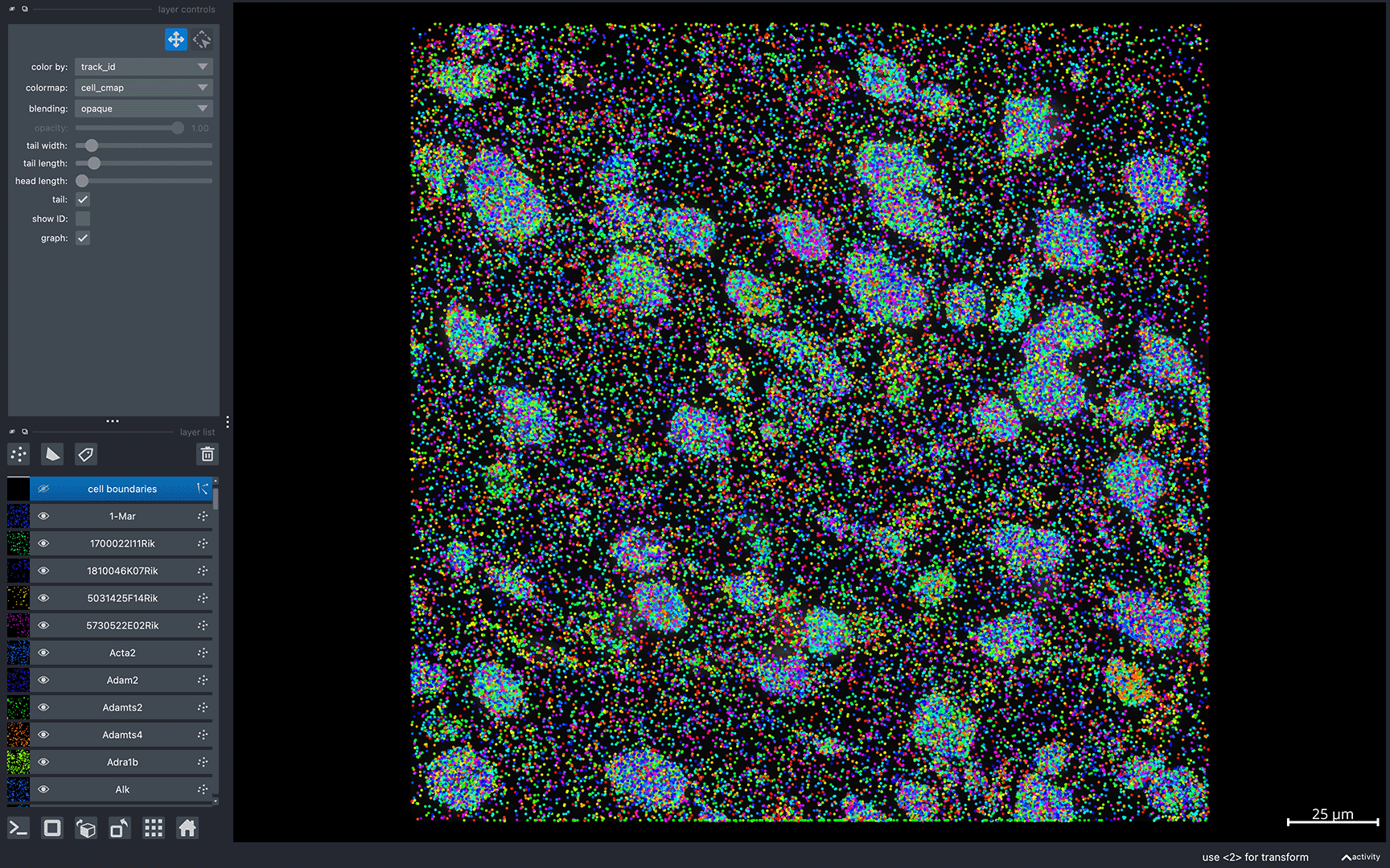 MERlin brain initial view